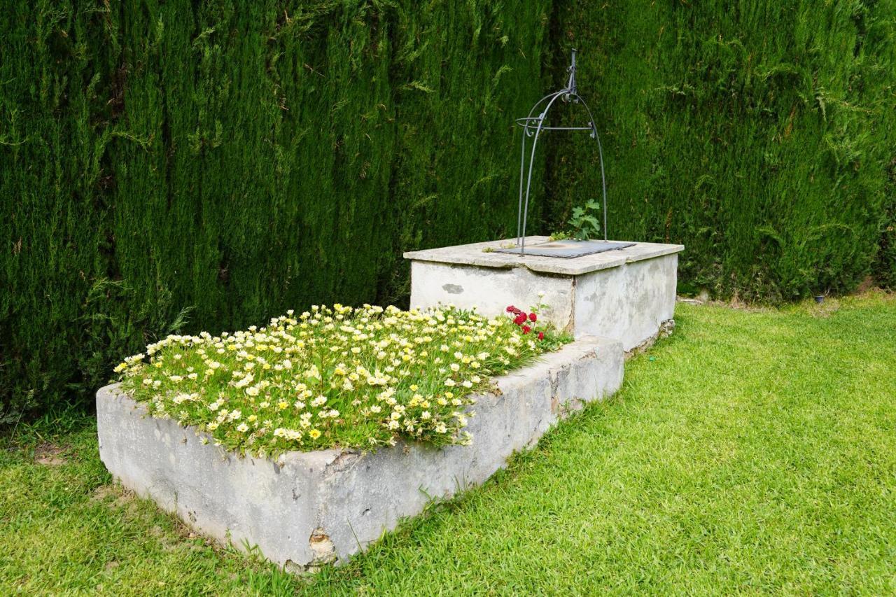 Casina Mozart Lecce Bed & Breakfast Magliano Exterior foto