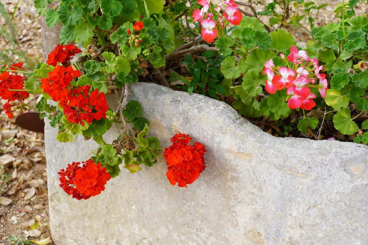 Casina Mozart Lecce Bed & Breakfast Magliano Exterior foto